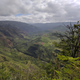 Illustration for article titled Waimea Canyon photo dump